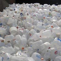 Ld Plastic Scrap
